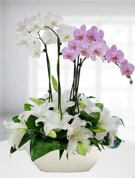 Zarafetin İmzası – Lilyum & Orkide Premium Aranjman