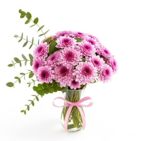 Taze Rüya Kasımpatı